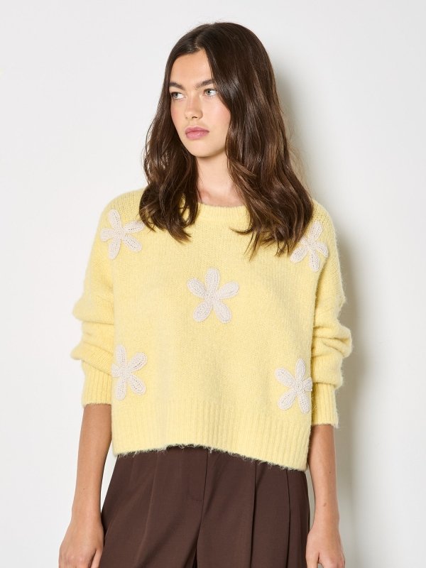 Apricot Crochet Small Daisy Boxy Jumper - Apricot - Yellow