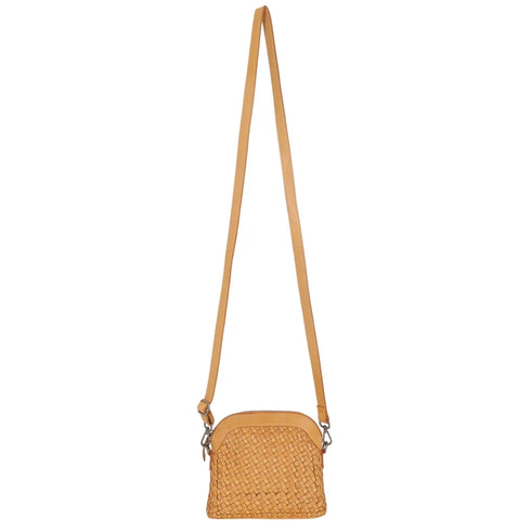 Coast - Latico - Camel