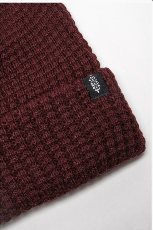 Cool Down Beanie - Free People - Elderberry